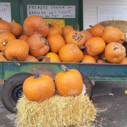 Citrouilles sur un ballot de paille