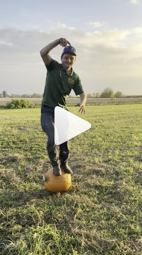 Vidéo : Thomas en équilibre sur une citrouille